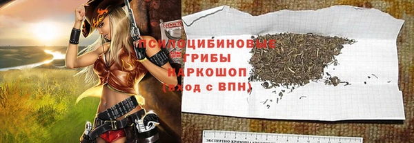 молекула духа Богородицк