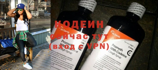таблы Бородино