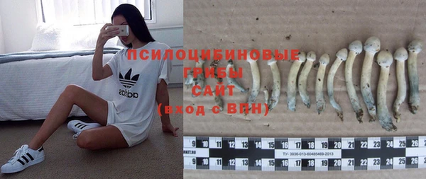 бошки Бугульма