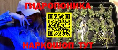 дурь Бузулук