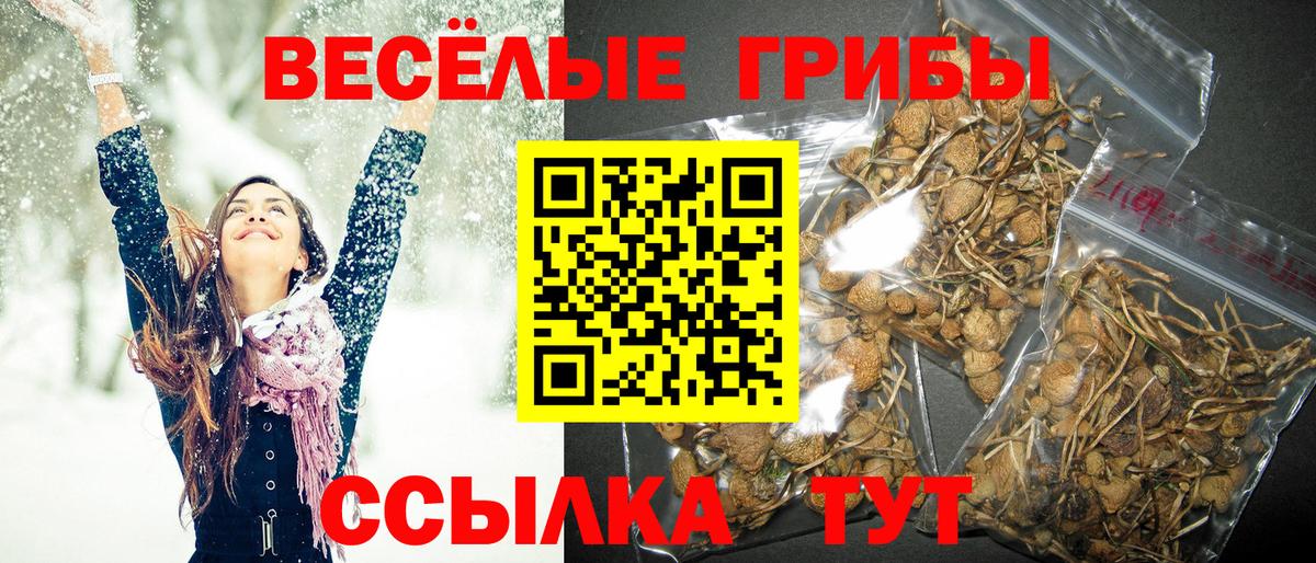 Галлюциногенные грибы Psilocybe  Псилоцибиновые грибы Psilocybine cubensis  Вход с VPN  Дальнегорск 